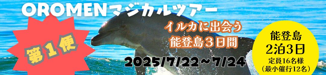 イルカウォッチング第1便