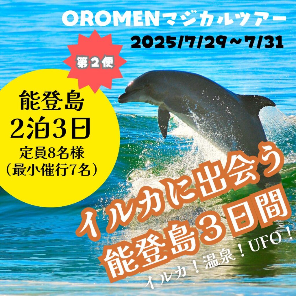 イルカウォッチング第2便